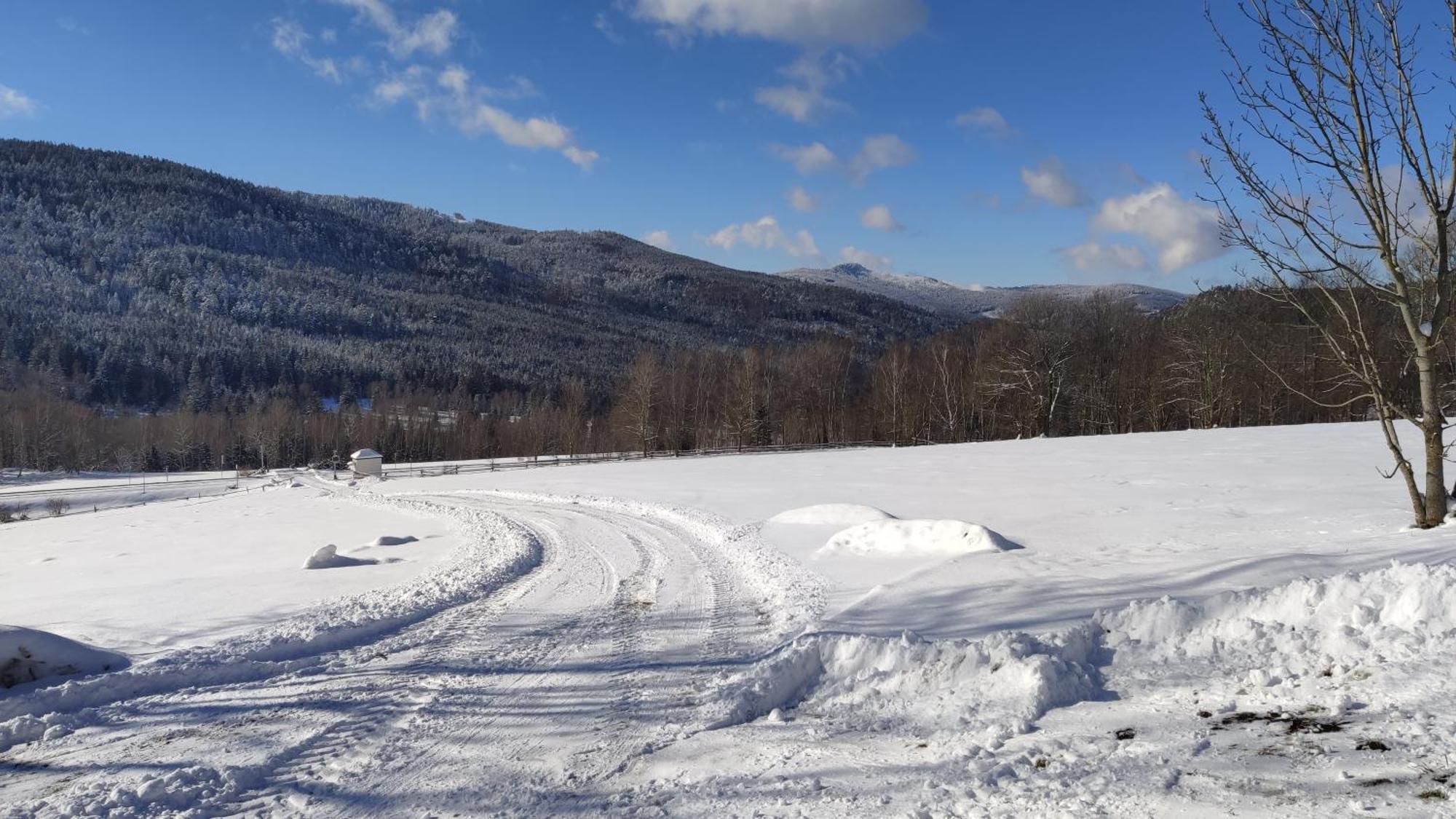 Apartman Berg Brcalnik Železná Ruda Exteriér fotografie