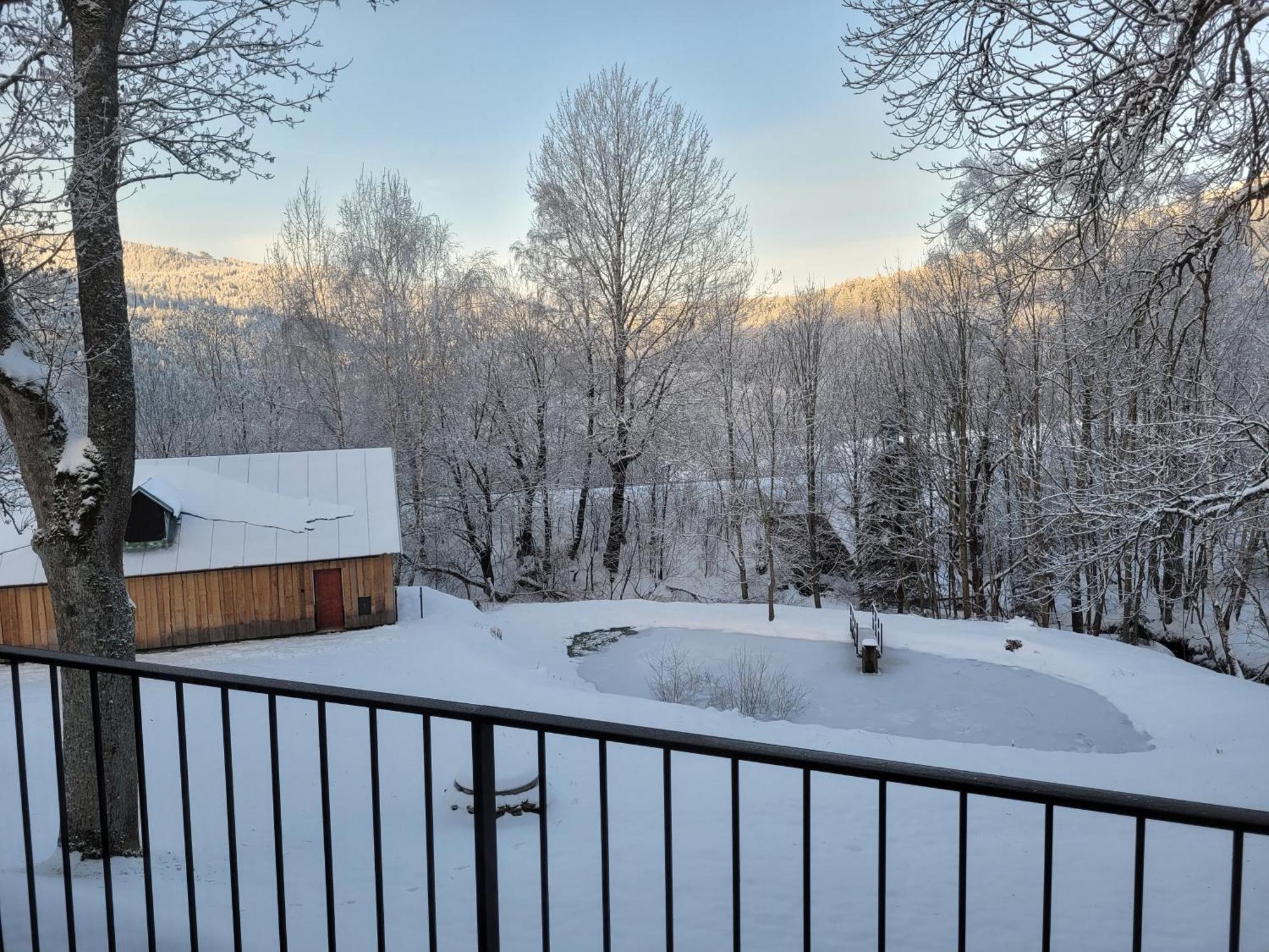Apartman Berg Brcalnik Železná Ruda Exteriér fotografie